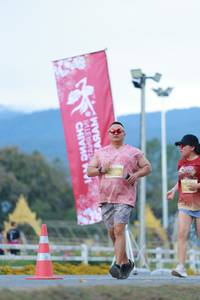 BIB: 
                            <button type="button" onclick="openModal(27853142)" class="btn btn-primary btn-sm float-right btn-popup" data-toggle="modal" data-target=".modal-high-quality">
                        <i class="fas fa-shopping-cart"></i> Add to Cart
                    </button>
                                            <button type="button" onclick="isThisMe(27853142, true)" class="btn btn-success btn-sm float-right btn-popup btn-isme hidden" data-toggle="tooltip" data-placement="bottom" title="นี่คือรูปของคุณใช่ไหม คลิกที่นี่เพื่อเอาเข้าอัลบั้ม">
                        <i class="fas fa-plus"></i> Add to album
                    </button>
                    <button type="button" onclick="isThisMe(27853142, false)" class="btn btn-warning btn-sm float-right btn-popup btn-isnotme hidden">
                        <i class="fas fa-ban"></i> Remove from album
                    </button>